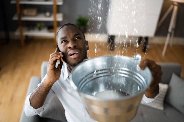 Best Water damage restoration near me  in Kent Acres, DE