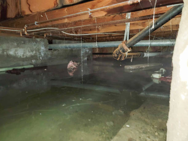 Best Water damage restoration near me  in Kent Acres, DE