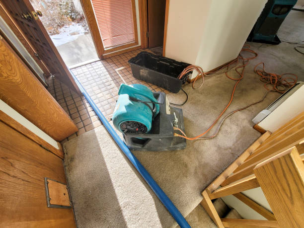 Best Water damage restoration experts  in Kent Acres, DE