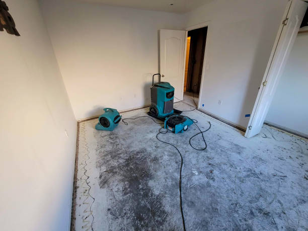 Best Water damage contractors near me  in Kent Acres, DE