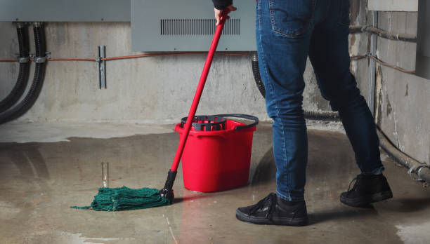 Water damage restoration experts in Kent Acres, DE