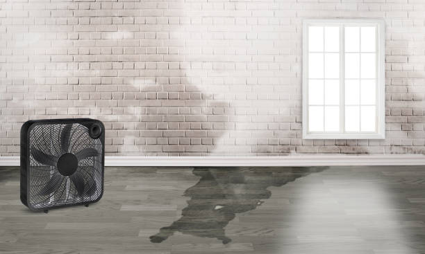 Best 24-hour water damage restoration  in Kent Acres, DE