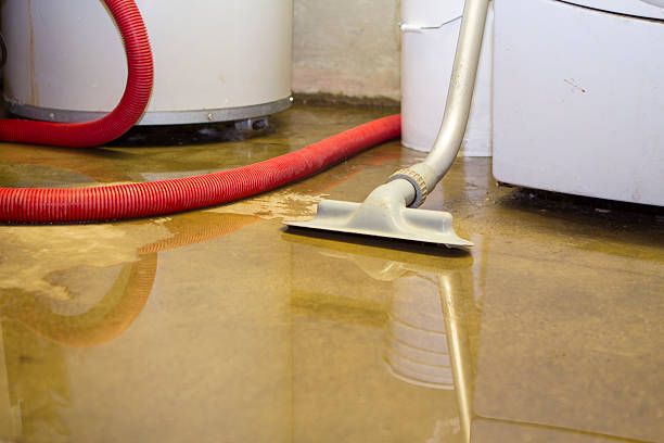 Best Professional water damage repair  in Kent Acres, DE
