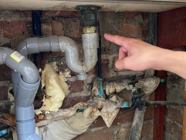 Best Water damage cleanup near me  in Kent Acres, DE